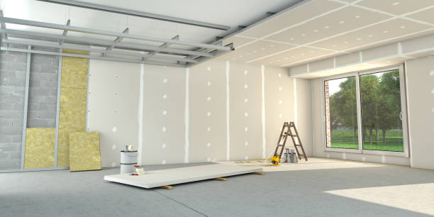 Best Insulation Replacement Services  in Olathe, KS